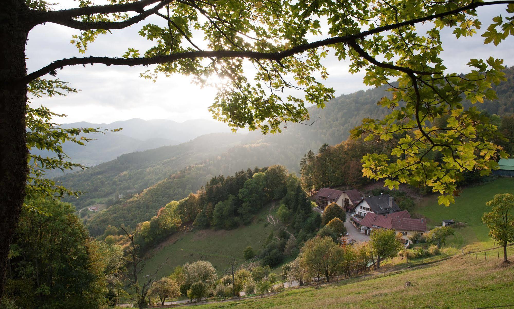 Logis Auberge Du Mehrbachel - Hotel & Restaurant Saint-Amarin Buitenkant foto